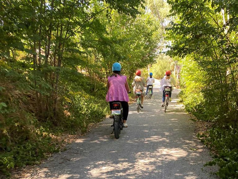 What Is The Riesling Trail?
