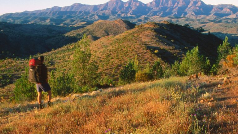 What Is The Heysen Trail?